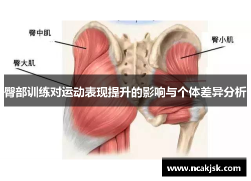 臀部训练对运动表现提升的影响与个体差异分析